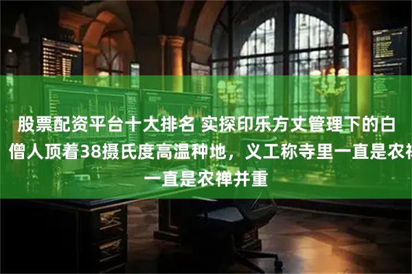 股票配资平台十大排名 实探印乐方丈管理下的白马寺：僧人顶着38摄氏度高温种地，义工称寺里一直是农禅并重